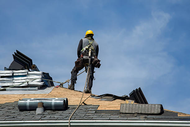 Professional Storm Damage Roof Repair technician working in Taylor, MI